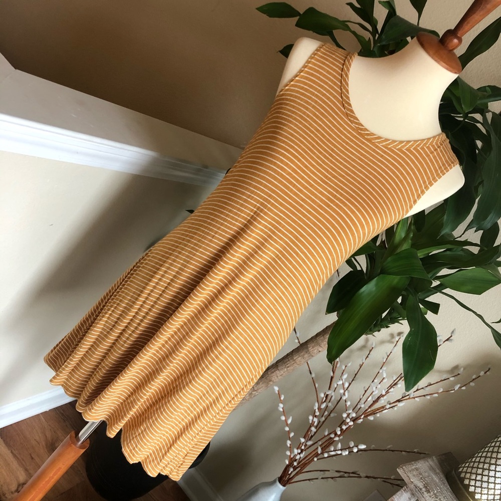 Women’s dress size M/L
